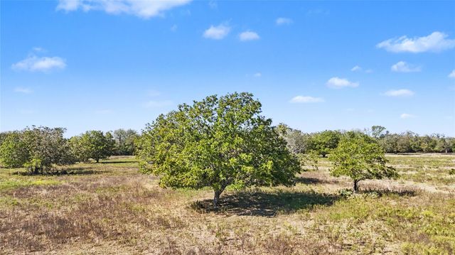 Tract 4 FM 3158, Dale, TX 78616