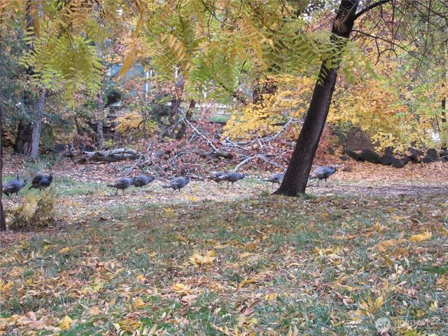 118 E Washington Avenue, Dayton, WA 99328