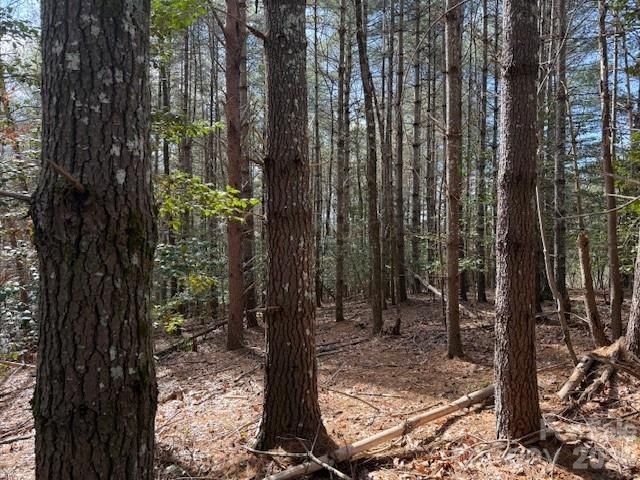 1386 Southpointe Drive, Morganton, NC 28655