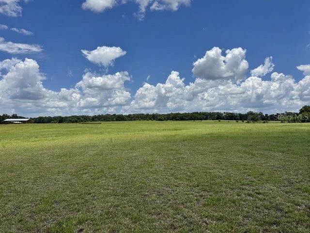 NW 131 STREET, Reddick, FL 32686