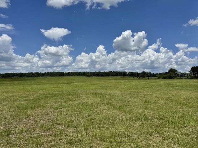NW 131 STREET, Reddick, FL 32686