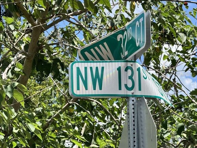 NW 131 STREET, Reddick, FL 32686