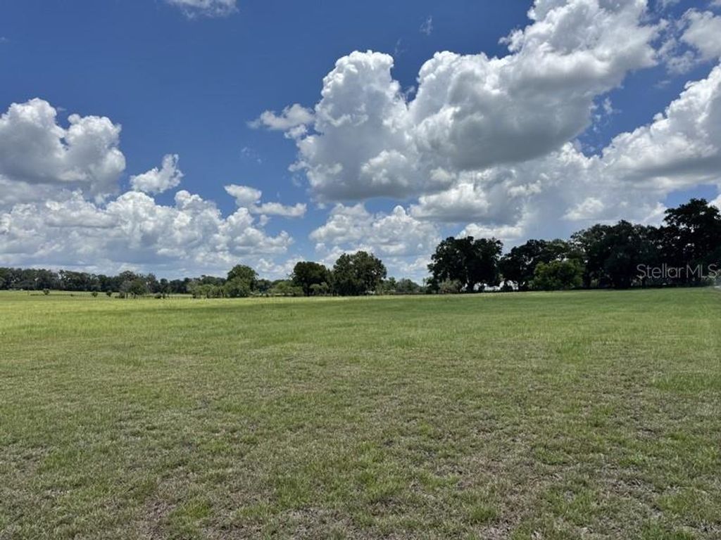 NW 131 STREET, Reddick, FL 32686