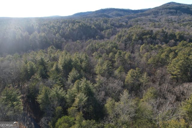 01 Old Miller Rock, Ellijay, GA 30540