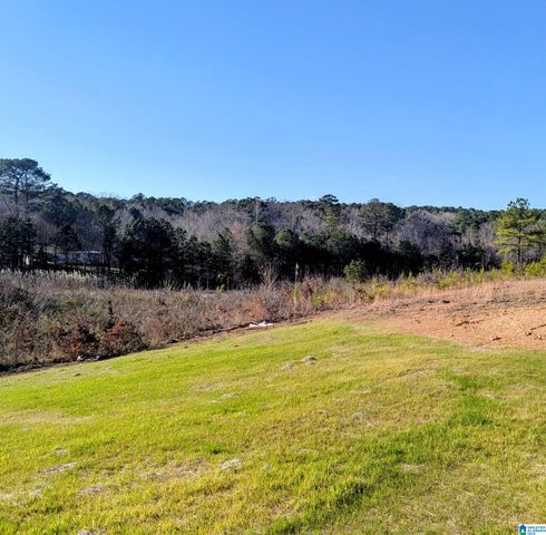 12800 HONEYSUCKLE CIRCLE, Lake View, AL 35111