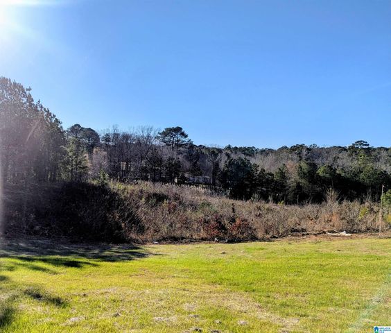 12800 HONEYSUCKLE CIRCLE, Lake View, AL 35111