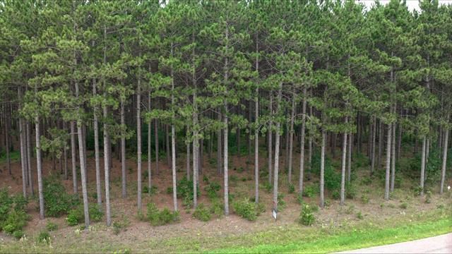 391 Twin Lakes Trail, Nekoosa, WI 54457