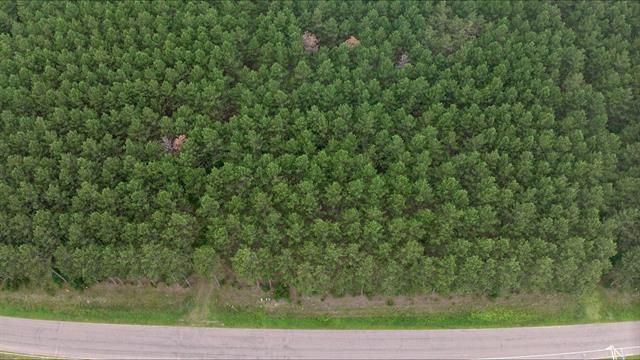 391 Twin Lakes Trail, Nekoosa, WI 54457