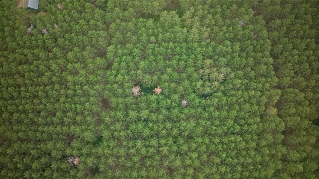 391 Twin Lakes Trail, Nekoosa, WI 54457