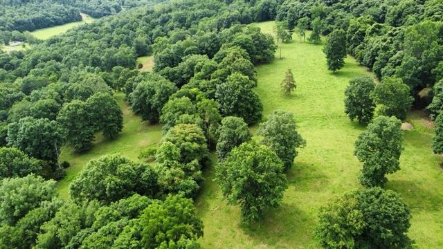 17295 Olive Road, Fayetteville, AR 72701