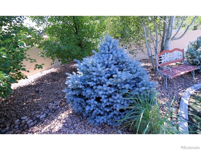 7404 Ladbroke Drive, Windsor, CO 80550