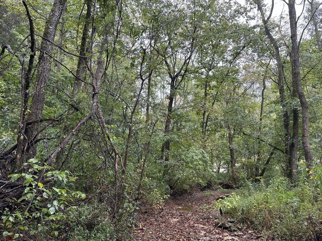 453 Gravely Hill Road, Bethpage, TN 37022