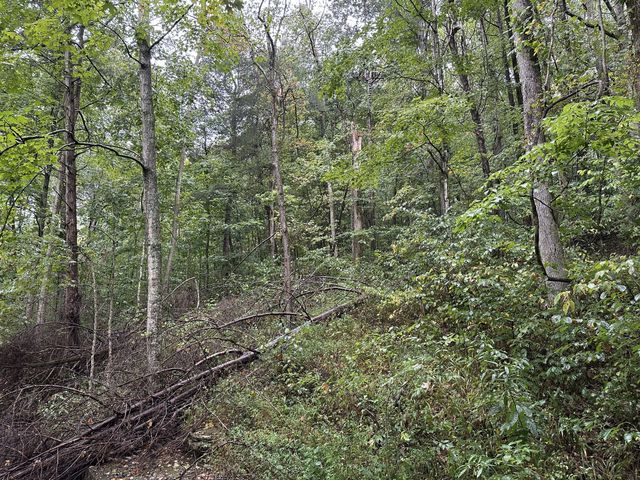 453 Gravely Hill Road, Bethpage, TN 37022