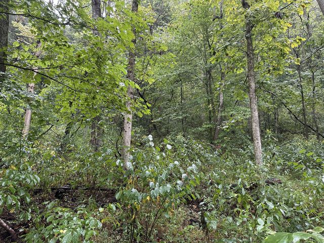 453 Gravely Hill Road, Bethpage, TN 37022