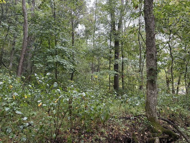 453 Gravely Hill Road, Bethpage, TN 37022