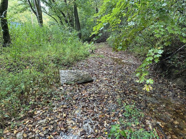 453 Gravely Hill Road, Bethpage, TN 37022