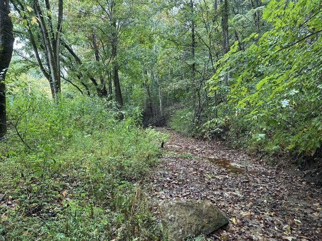 453 Gravely Hill Road, Bethpage, TN 37022