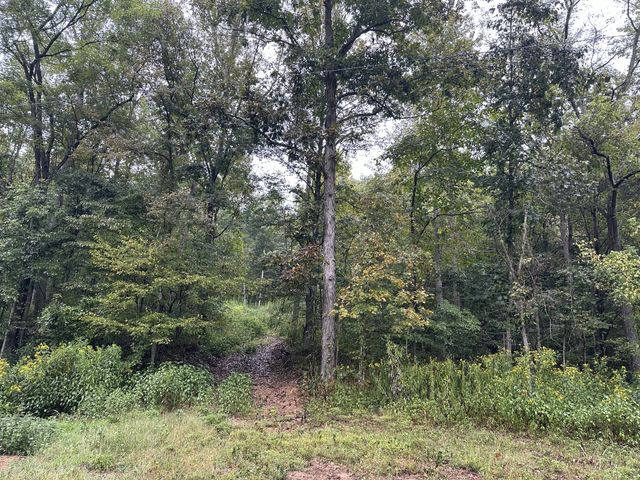 453 Gravely Hill Road, Bethpage, TN 37022