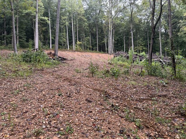 453 Gravely Hill Road, Bethpage, TN 37022