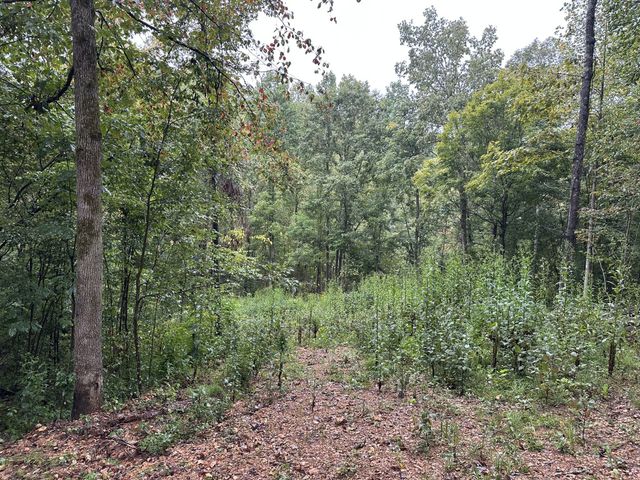 453 Gravely Hill Road, Bethpage, TN 37022