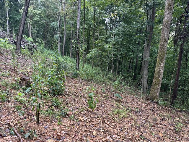 453 Gravely Hill Road, Bethpage, TN 37022