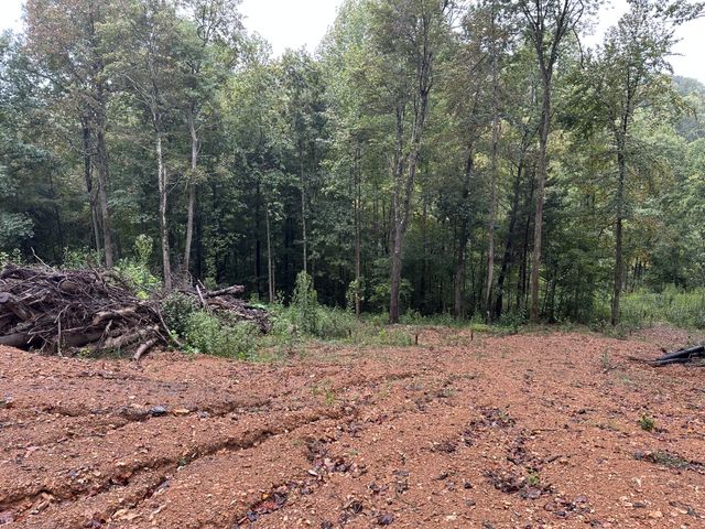 453 Gravely Hill Road, Bethpage, TN 37022