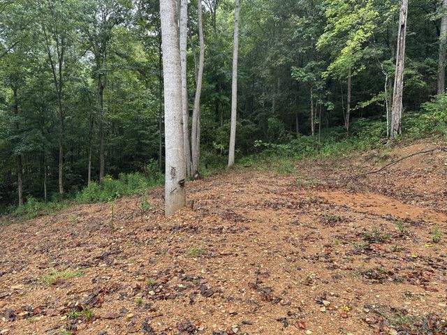 453 Gravely Hill Road, Bethpage, TN 37022