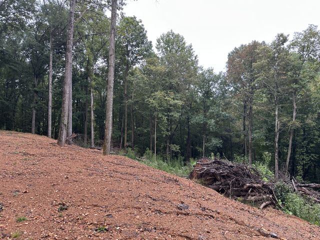 453 Gravely Hill Road, Bethpage, TN 37022