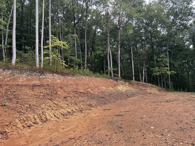 453 Gravely Hill Road, Bethpage, TN 37022