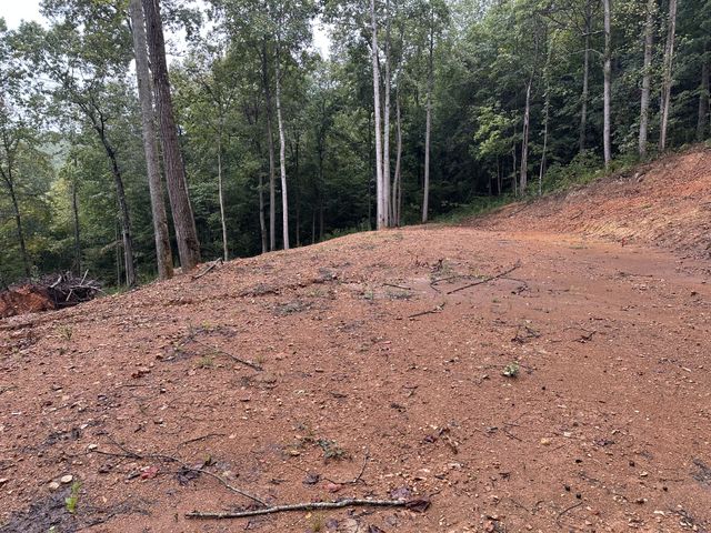 453 Gravely Hill Road, Bethpage, TN 37022