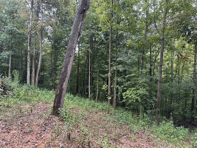 453 Gravely Hill Road, Bethpage, TN 37022