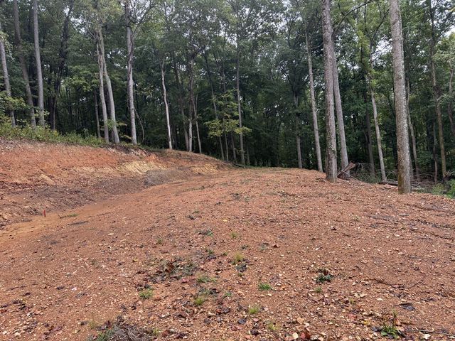 453 Gravely Hill Road, Bethpage, TN 37022