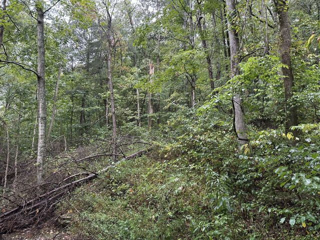 453 Gravely Hill Road, Bethpage, TN 37022