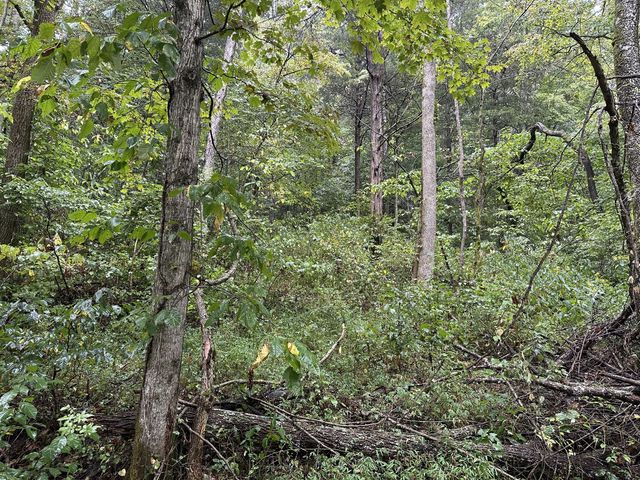 453 Gravely Hill Road, Bethpage, TN 37022