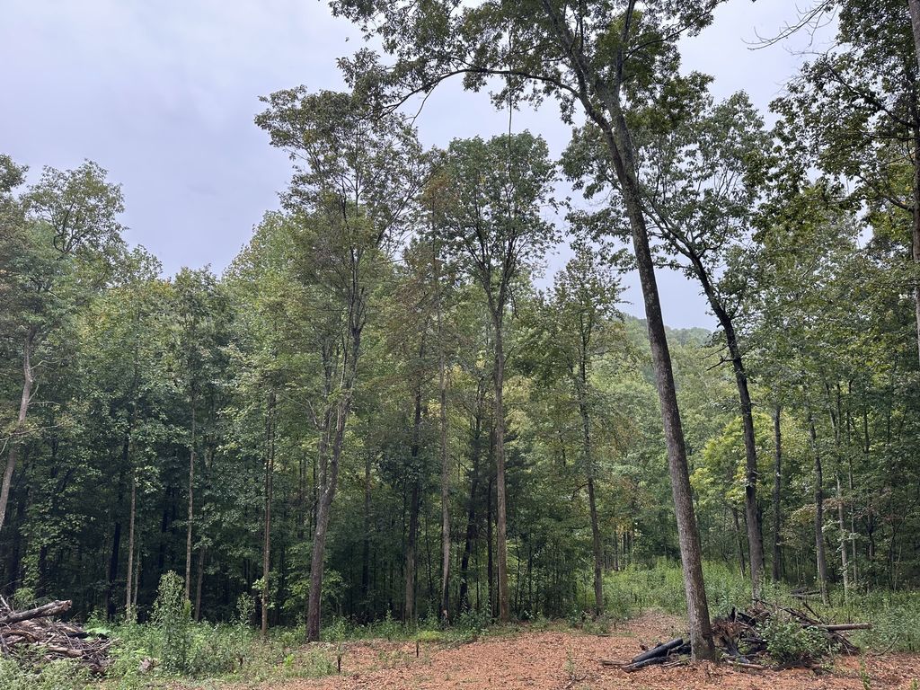 453 Gravely Hill Road, Bethpage, TN 37022