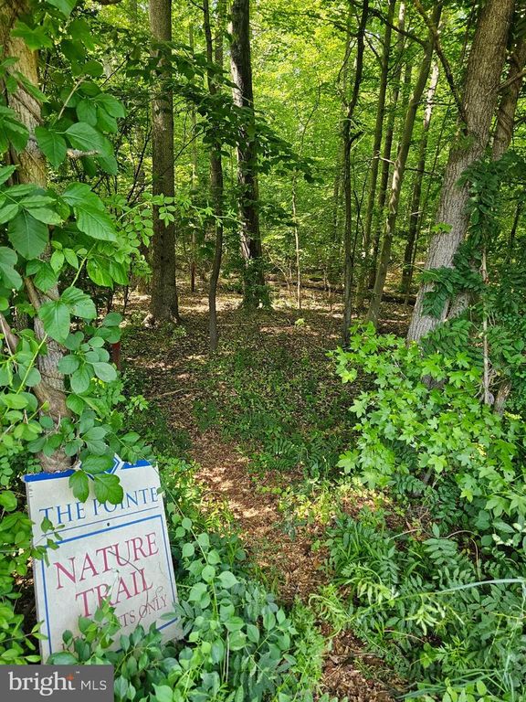 Image 48 of property listing at 449 PENWOOD DR, Edgewater, MD 21037