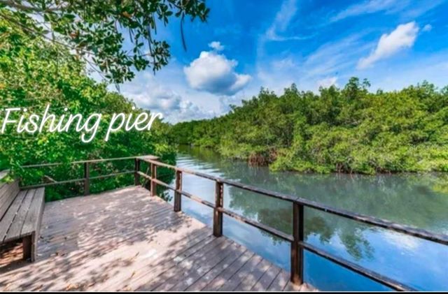2935 LICHEN LANE C, Clearwater, FL 33760