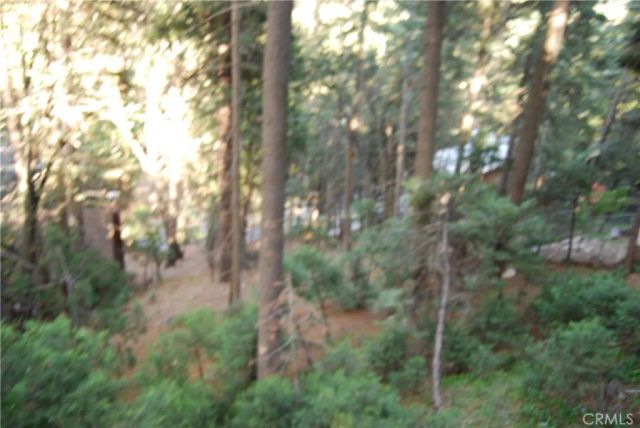 807 Sierra Vista, Twin Peaks, CA 92391