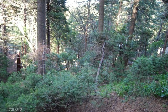 807 Sierra Vista, Twin Peaks, CA 92391