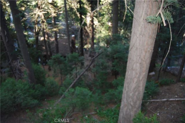 807 Sierra Vista, Twin Peaks, CA 92391