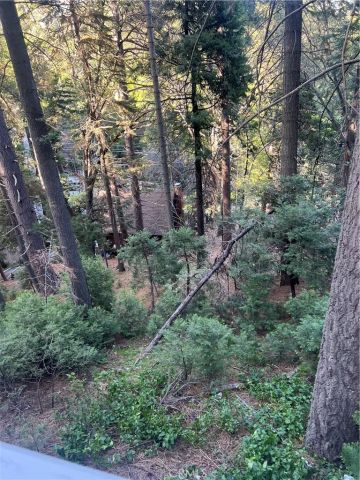 807 Sierra Vista, Twin Peaks, CA 92391