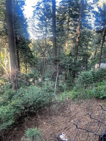 807 Sierra Vista, Twin Peaks, CA 92391