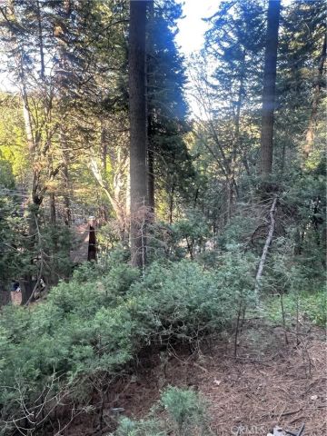 807 Sierra Vista, Twin Peaks, CA 92391