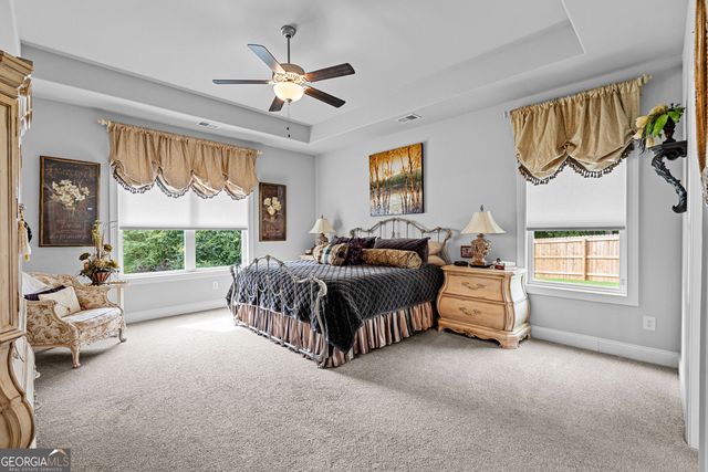 250 Wet Stone Road, Senoia, GA 30276