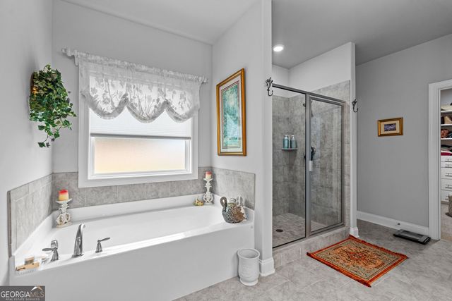 250 Wet Stone Road, Senoia, GA 30276