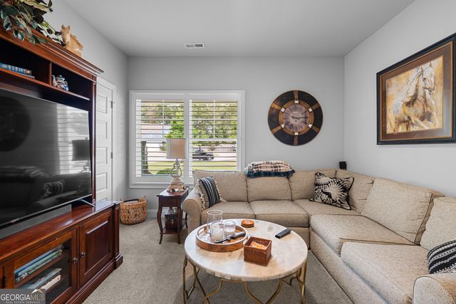 250 Wet Stone Road, Senoia, GA 30276