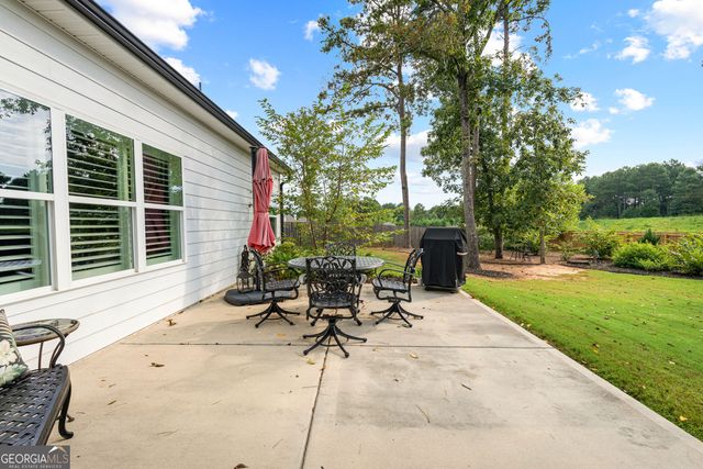 250 Wet Stone Road, Senoia, GA 30276