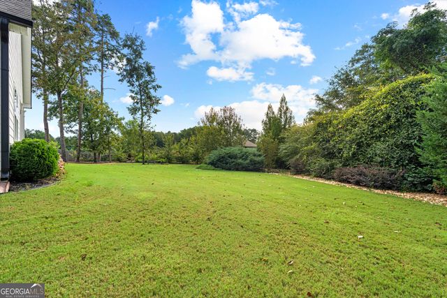 250 Wet Stone Road, Senoia, GA 30276