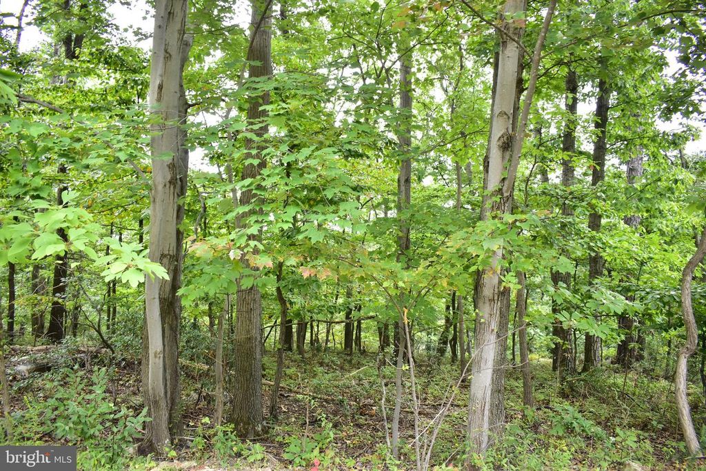 Lot 17 FOX TRAIL, Winchester, VA 22602