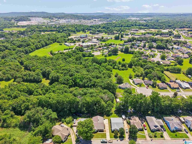 134 PARK PLACE LANE, Alabaster, AL 35007